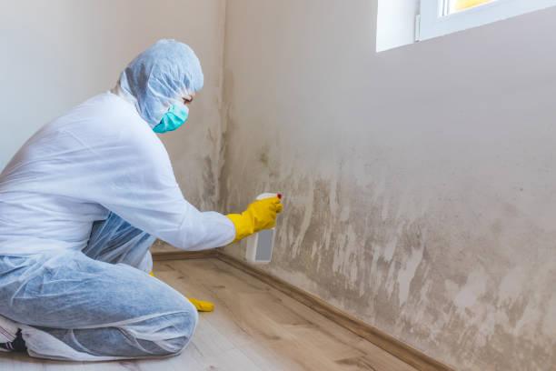 Bathroom Mold Removal assessment in Surry bathroom