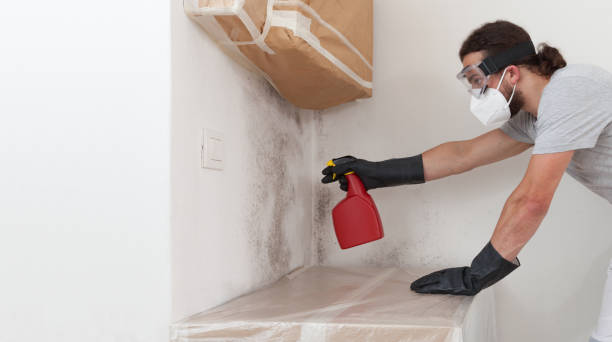 Attic Mold Remediation treatment on roof deck in Surry